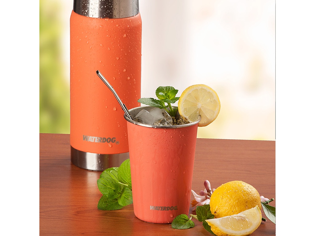 Vaso Acero Inox Waterdog Fita 500cc Bpa Free