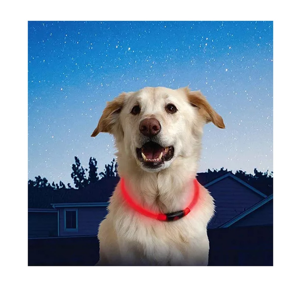 Collar Para Perros Ajustable Con Led