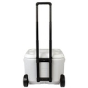 CONSERVADORA COLEMAN MARINE 50QT C/R WHITE