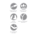 Carpa Para 6 Personas Spinit Holliday 6+c 2 Dormitorios