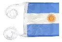 Bandera Argentina Reglamentaria Pna Con Sol 30x45 Cm