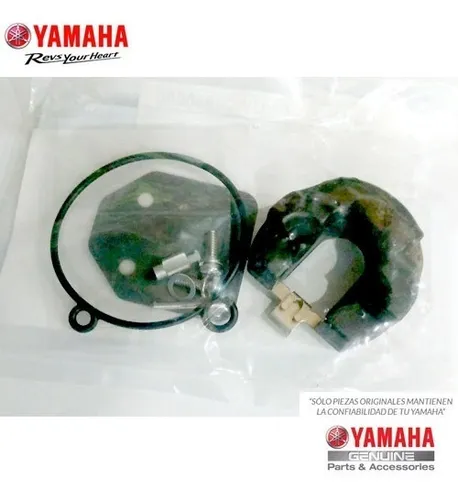 Kit De Carburador Original Motor Yamaha 6 Hp 8 Hp 9.9 Hp 4t