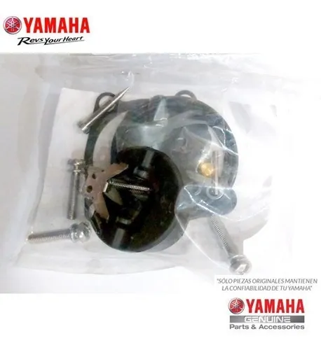 Kit De Carburador Original Motor Yamaha 40 Hp 2t