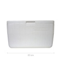 CONSERVADORA COLEMAN BEACH 48QT BLANCO