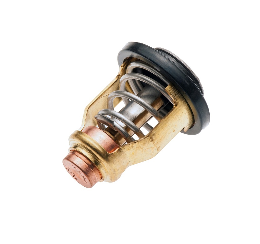 Termostato Yamaha Original 6d3-12411-00-00